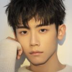 Li Qing
