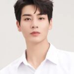 Ai Hong Chen