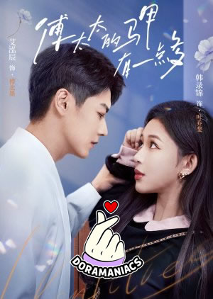 Mysterious Mrs. Fu (2025)