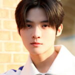 Xie Hongxin